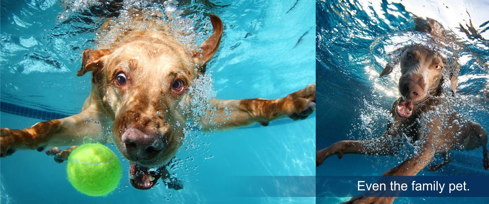 terrianpool header4 terrianpool header4